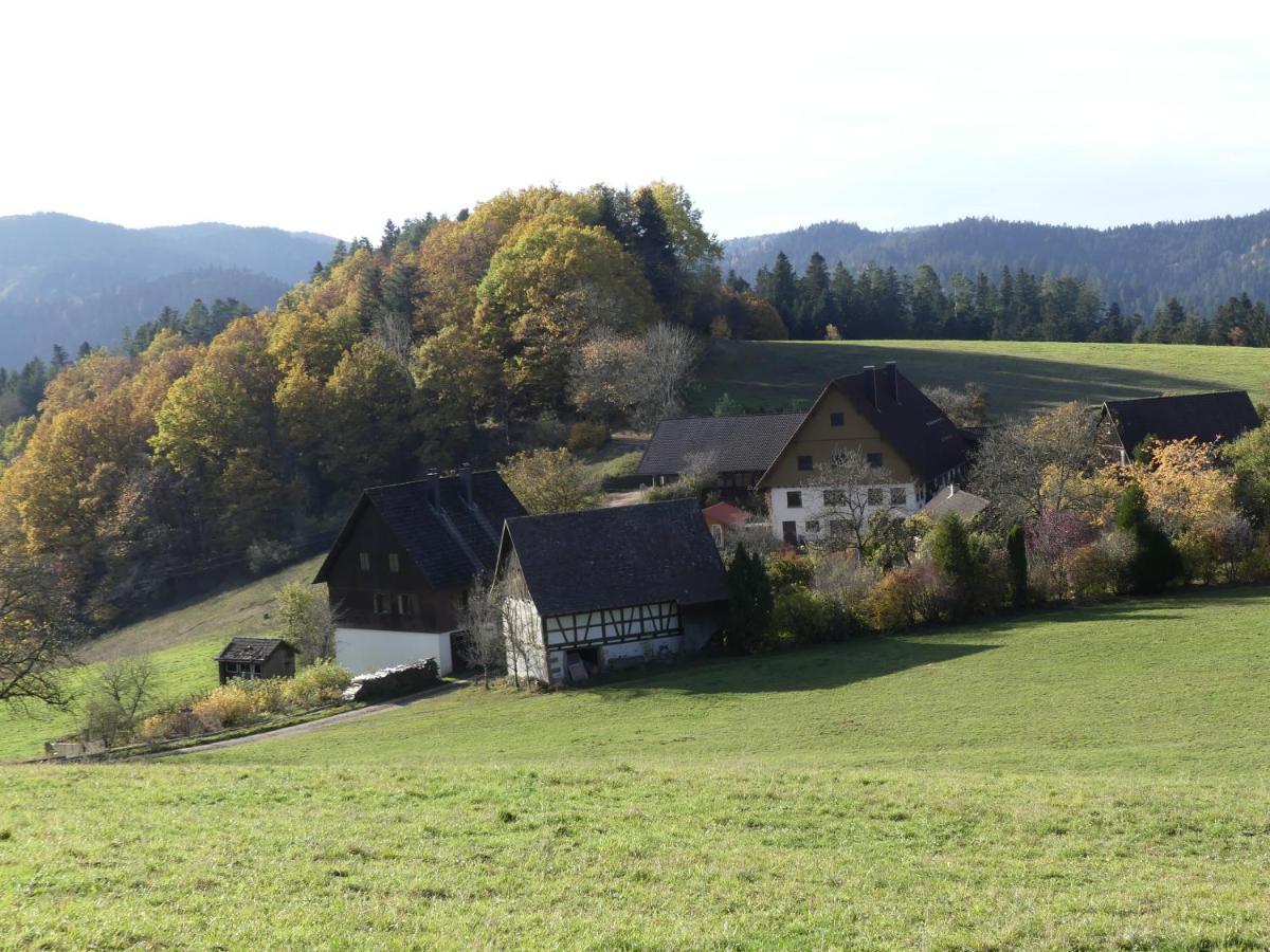 Ferienwohnung Hofenhof Schiltach Exterior foto